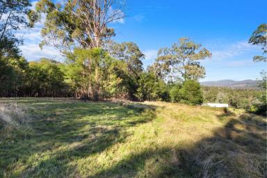 Residential Block For Sale - NSW - Colo Heights - 2756 - An Exceptional 40-Acre Lifestyle Holding in Colo Heights  (Image 2)