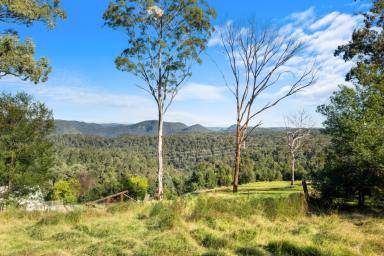 Residential Block For Sale - NSW - Colo Heights - 2756 - An Exceptional 40-Acre Lifestyle Holding in Colo Heights  (Image 2)