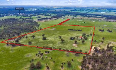 Cropping Auction - VIC - Murchison - 3610 - Quality Victorian Home on 101 Acres with Privacy and Space  (Image 2)