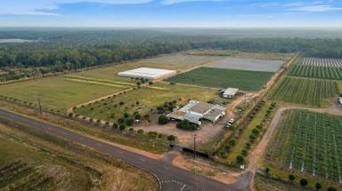 Cropping For Sale - NT - Marrakai - 0822 - Property including Greenhouse and Farming Equipment  (Image 2)