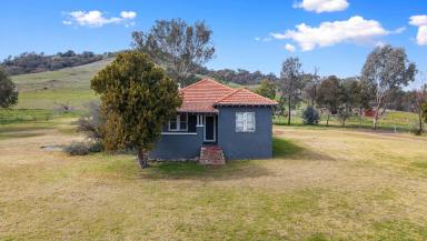 House For Sale - NSW - Woolomin - 2340 - The Lifestyle You've Been Waiting For  (Image 2)