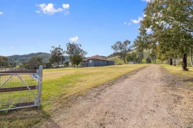 House For Sale - NSW - Woolomin - 2340 - The Lifestyle You've Been Waiting For  (Image 2)
