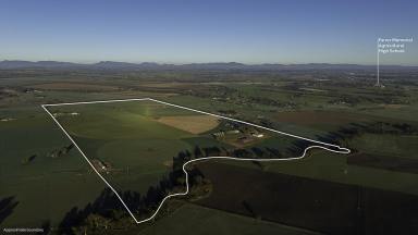 Mixed Farming For Sale - NSW - Tamworth - 2340 - Exceptionally Developed Irrigated Fodder Factory  (Image 2)