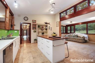 House For Sale - NSW - Kangaroo Valley - 2577 - Two Beautiful Bespoke Homes on 12 Acres with Income (Image 2)