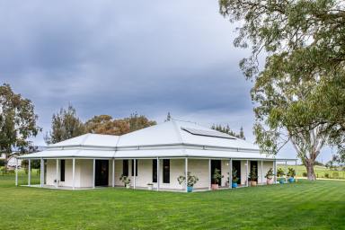 House For Sale - SA - Naracoorte - 5271 - Executive rural-residential living  (Image 2)