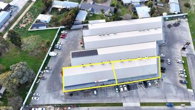 Office(s) Auction - VIC - Swan Hill - 3585 - Premium Regional Investment | Two Titles | Three Established Tenants (Image 2)