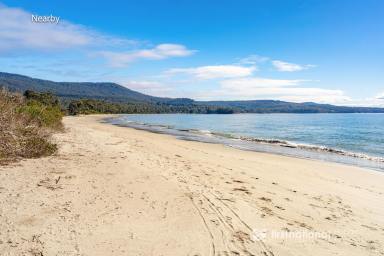 House For Sale - TAS - Adventure Bay - 7150 - Elevated Adventure Bay Living - Walk to the Beach, Wake to the Sunrise! (Image 2)