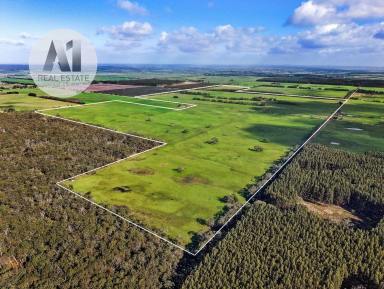 Mixed Farming For Sale - VIC - Heywood - 3304 - Exceptional Rural Property (Image 2)