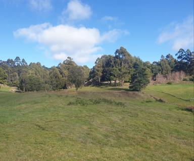Residential Block For Sale - TAS - Acacia Hills - 7306 - Space, Views and a Premium House Site  (Image 2)