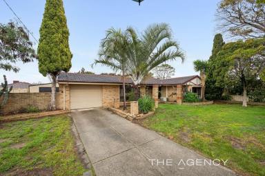 House For Sale - WA - High Wycombe - 6057 - Open Sun 1:00pm  (Image 2)