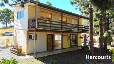 House For Sale - QLD - Apple Tree Creek - 4660 - DID SOMEONE SAY SHED SPACE !!!  (Image 2)