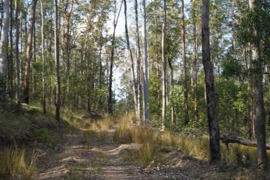 Lifestyle For Sale - NSW - Bulldog - 2469 - Your Private 510 Acre Riverside Wilderness  (Image 2)