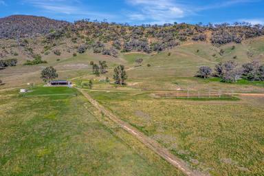 Lifestyle For Sale - NSW - Mudgee - 2850 - INCREDIBLE COUNTRY, INCREDIBLE LOCATION, EVEN BETTER VIEWS (Image 2)