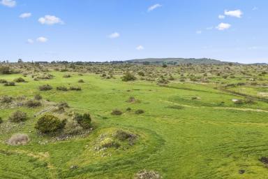 Lifestyle For Sale - VIC - Dreeite - 3249 - Rich, Warm & Healthy Dreeite Country  (Image 2)