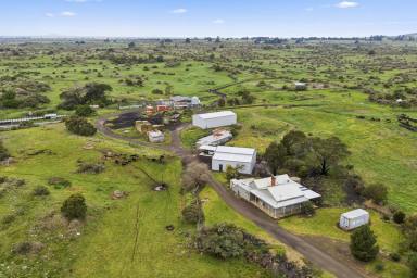 Lifestyle For Sale - VIC - Dreeite - 3249 - Rich, Warm & Healthy Dreeite Country  (Image 2)