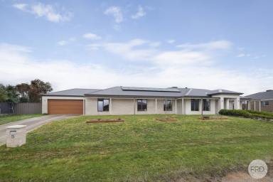 House For Sale - VIC - Cardigan - 3352 - Spacious Family Living On A Lifestyle Allotment In Sought-After Cardigan  (Image 2)