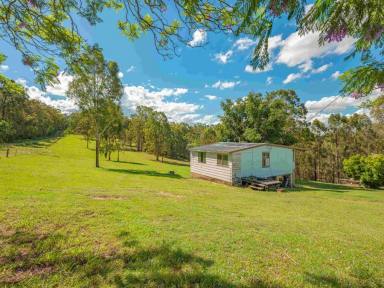 Residential Block For Sale - QLD - Fishermans Pocket - 4570 - Rural Retreat with Creek, Forest & Lifestyle Infrastructure  (Image 2)