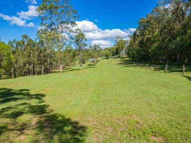 Residential Block For Sale - QLD - Fishermans Pocket - 4570 - Rural Retreat with Creek, Forest & Lifestyle Infrastructure  (Image 2)