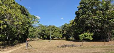 House For Sale - QLD - Carruchan - 4816 - Lifestyle Retreat with Creek Frontage – Kennedy Valley  (Image 2)