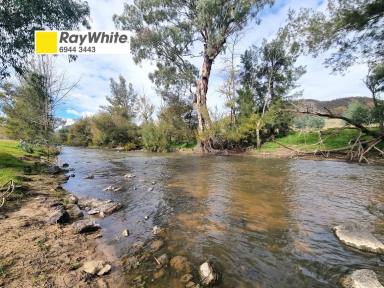 Residential Block For Sale - NSW - Gundagai - 2722 - How's the serenity !  (Image 2)
