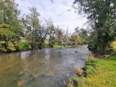 Residential Block For Sale - NSW - Gundagai - 2722 - How's the serenity !  (Image 2)