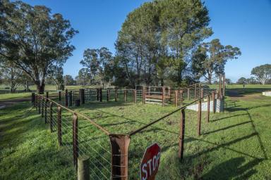 Mixed Farming For Sale - VIC - Rocklands - 3401 - RELIABLE - SECURE - SPECTACULAR (Image 2)