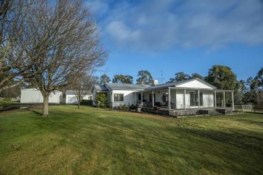 Mixed Farming For Sale - VIC - Rocklands - 3401 - RELIABLE - SECURE - SPECTACULAR (Image 2)