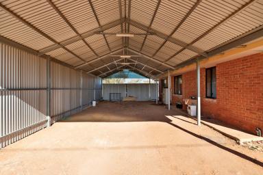 House For Sale - VIC - Irymple - 3498 - Renovated home on 1&1/4 acres with shedding. (Image 2)