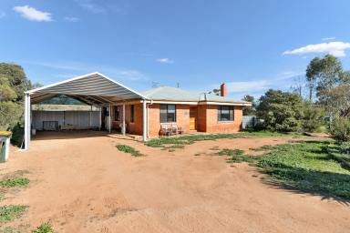 House For Sale - VIC - Irymple - 3498 - Renovated home on 1&1/4 acres with shedding. (Image 2)