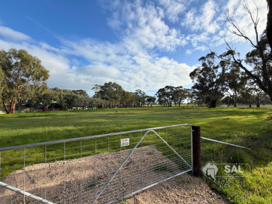 Residential Block For Sale - SA - Mundulla - 5270 - Rural Living Opportunity on the Edge of Mundulla  (Image 2)