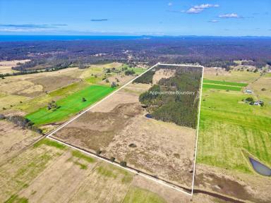 Mixed Farming For Sale - NSW - Pampoolah - 2430 - RARE RURAL HOLDING - 52.9Ha (130.7 acres*)  (Image 2)