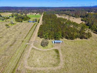 Mixed Farming For Sale - NSW - Pampoolah - 2430 - RARE RURAL HOLDING - 52.9Ha (130.7 acres*)  (Image 2)