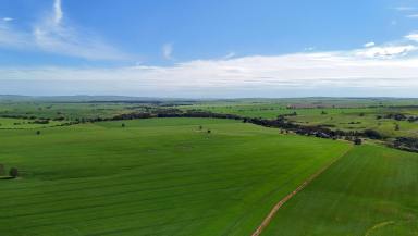 Mixed Farming For Sale - SA - Yacka - 5470 - Quality Mid North Mixed Farming on the Broughton (Image 2)