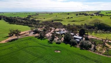 Mixed Farming For Sale - SA - Yacka - 5470 - Quality Mid North Mixed Farming on the Broughton (Image 2)