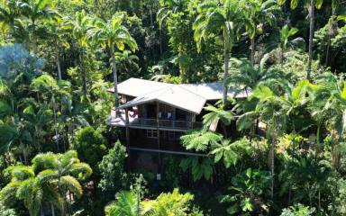 House For Sale - QLD - Mossman - 4873 - THE ULTIMATE CASTAWAY ESCAPE  (Image 2)