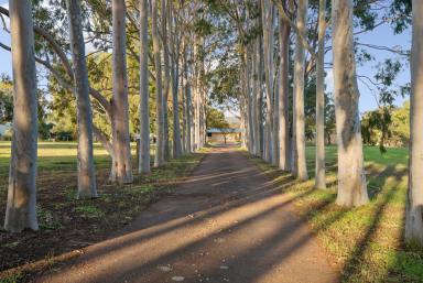 House For Sale - WA - Baskerville - 6056 - 10 Acres of Pure Swan Valley Perfection: Custom Home, Pool, Stables & Workshop! (Image 2)