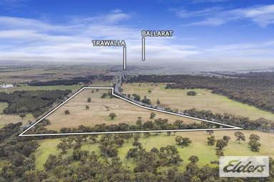 Other (Rural) For Sale - VIC - Trawalla - 3373 - An Opportunity Unlike Any Other  (Image 2)