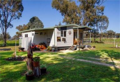 House For Lease - NSW - Duri - 2344 - 2/1 with fully fence large yard (Image 2)