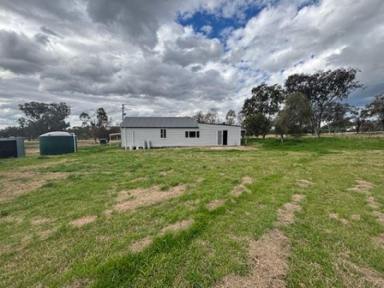 House For Lease - NSW - Duri - 2344 - 2 acres in Duri (Image 2)