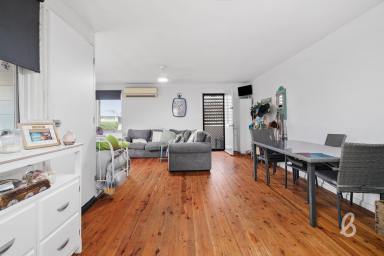House For Sale - NSW - Singleton - 2330 - Comfortable Living Close to Town  (Image 2)