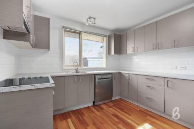 House For Sale - NSW - Singleton - 2330 - Comfortable Living Close to Town  (Image 2)
