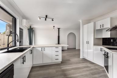 House For Sale - QLD - Walloon - 4306 - Beautifully Renovated with Room to Breath  (Image 2)