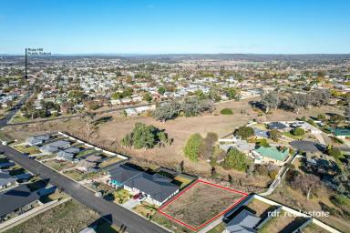 Residential Block For Sale - NSW - Inverell - 2360 - A BLANK CANVAS  (Image 2)