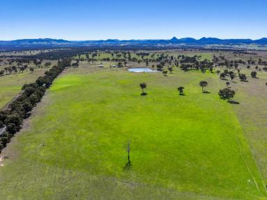 Residential Block For Sale - NSW - Rylstone - 2849 - Versatile Grazing Property with Infrastructure, Cottage & Development Potential  (Image 2)