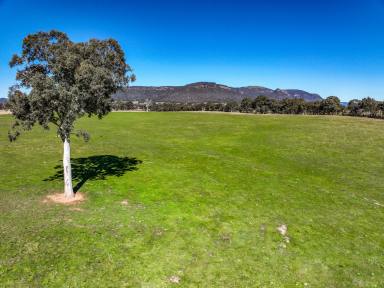Residential Block For Sale - NSW - Rylstone - 2849 - Versatile Grazing Property with Infrastructure, Cottage & Development Potential  (Image 2)