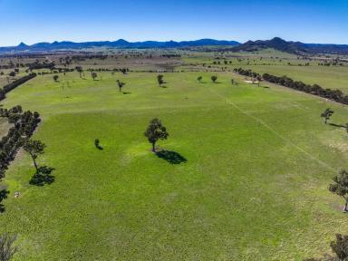 Residential Block For Sale - NSW - Rylstone - 2849 - Productive Grazing Country with Dwelling Entitlement – Prime Rylstone Opportunity (Image 2)