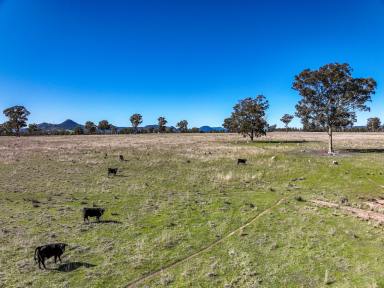 Residential Block For Sale - NSW - Rylstone - 2849 - Quality Rylstone Grazing Holding (Image 2)