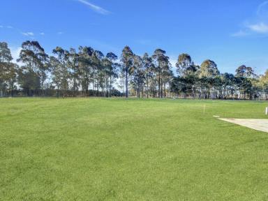 Residential Block For Sale - VIC - East Bairnsdale - 3875 - LEVEL ALLOTMENT  (Image 2)