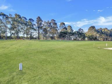 Residential Block Sold - VIC - East Bairnsdale - 3875 - LEVEL ALLOTMENT  (Image 2)