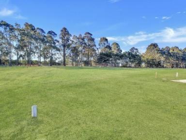 Residential Block For Sale - VIC - East Bairnsdale - 3875 - LEVEL ALLOTMENT  (Image 2)